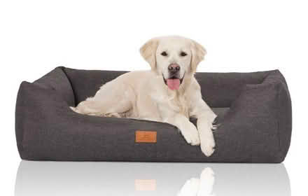 Photo of Dog Bed (St Mary's GL6) #1
