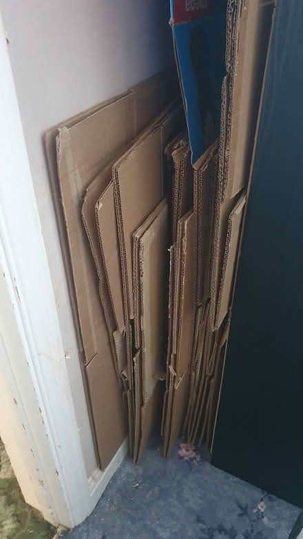 Photo of free Cardboard packing boxes (Kingswood/Hanham) #2