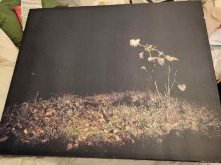 Photo of free Large print (Kings Heath B14) #2