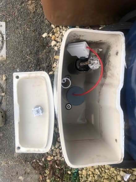 Photo of free Toilet cistern with new flush (Florence Park OX4) #2
