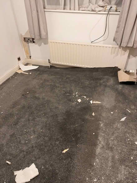 Photo of free Grey carpet and quality underlay (Failsworth M35) #1