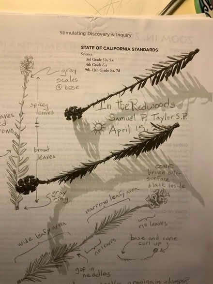 Photo of free Nature Journaling material (Lake Merritt) #3