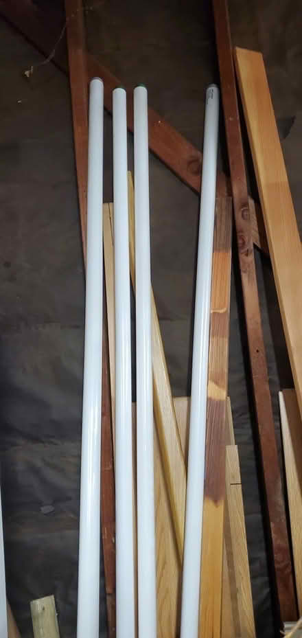 Photo of free Fluorescent bulbs (Almaden) #1