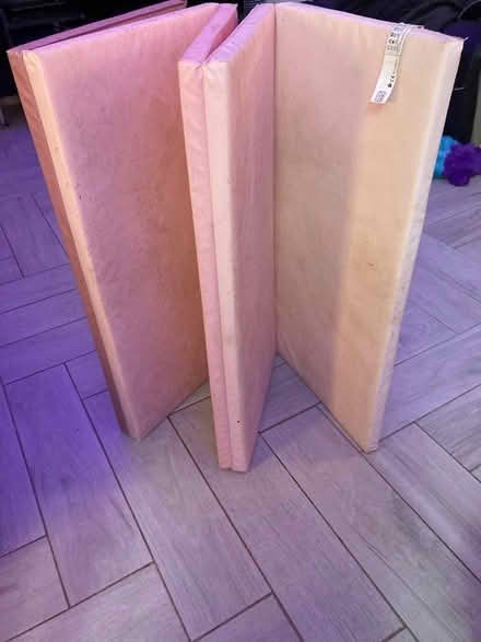 Photo of free Gym mats x 2 (Derrington ST18) #1