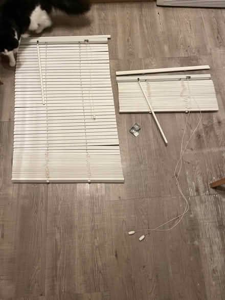 Photo of free Blinds (Acton W3) #1