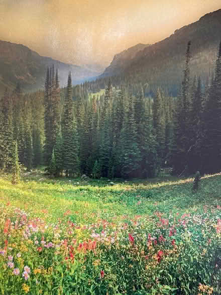 Photo of free Nature magazines -pics for art, etc (West Petaluma) #4