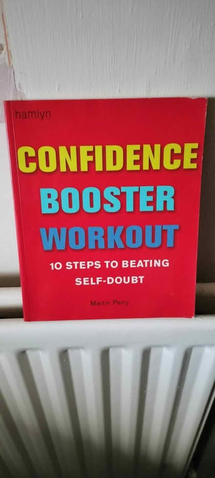 Photo of free T cushion and confidence book (Rhosllanerchrugog LL14) #2
