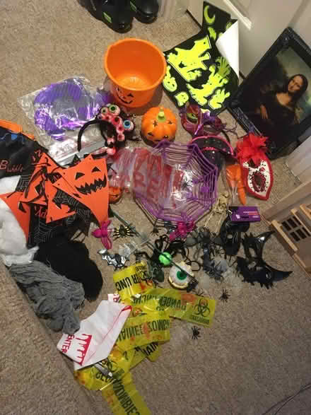 Photo of free Halloween stuff (Walbottle NE15) #1