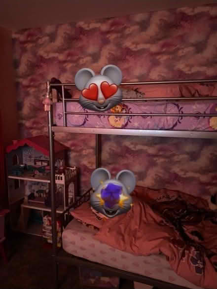 Photo of free Bunk Beds (Horsforth LS18) #1