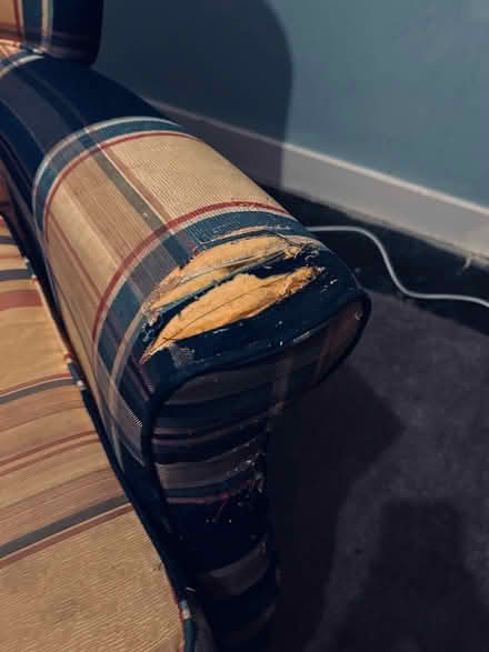 Photo of free Wing back chair (Halifax) #2