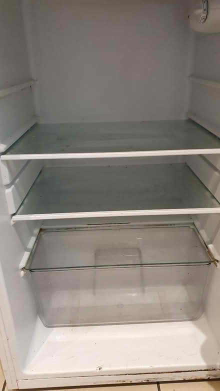 Photo of free Freestanding Larder Fridge (Shaw Ridge SN5) #4
