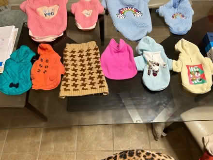 Photo of free Dog sweaters (Bartlett) #3