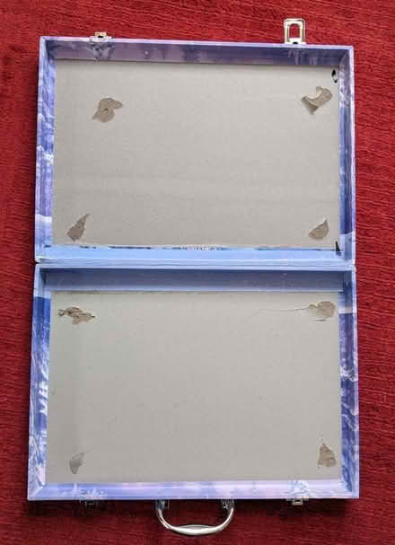 Photo of free Disney Frozen carry case (Springfield CM2) #1