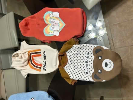Photo of free Dog sweaters (Bartlett) #2