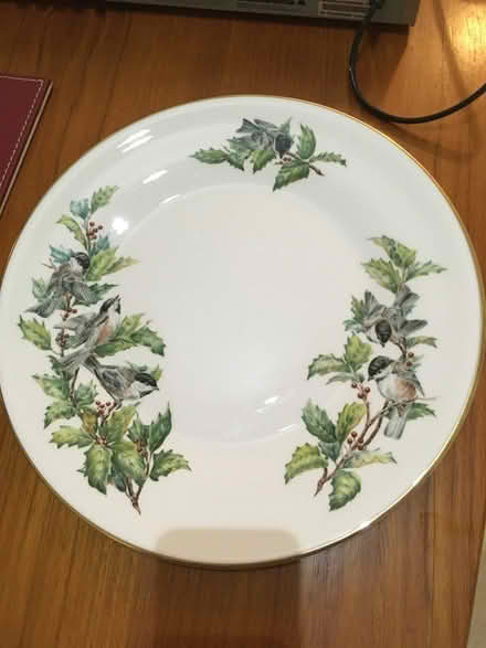 Photo of free 8 dinner plates chickadee & holly (near leigh sinton road) #2