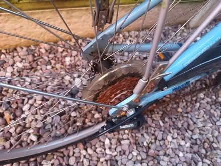 Photo of free Ladies bike (SK3) #3