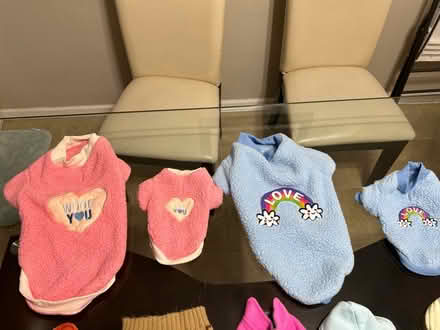 Photo of free Dog sweaters (Bartlett) #1