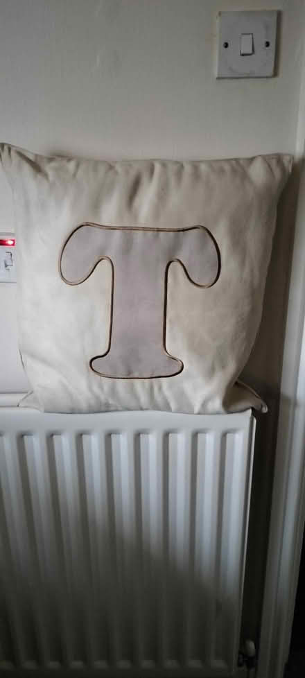 Photo of free T cushion and confidence book (Rhosllanerchrugog LL14) #1