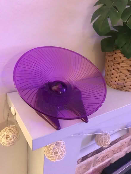 Photo of free Hamster/mice wheel (Kilburn) #1