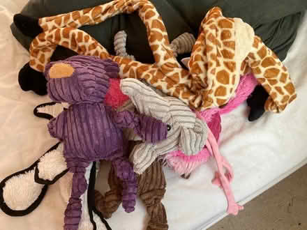 Photo of free Dog toys (Derrington ST18) #1