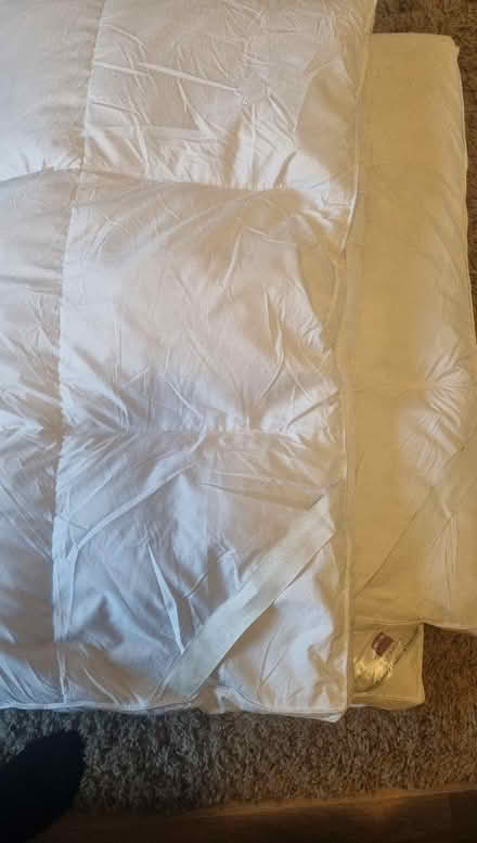 Photo of free Mattress topper (Luton LU3) #3
