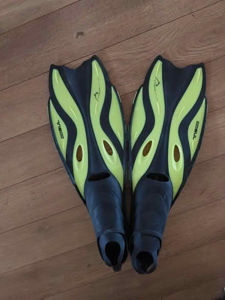 Photo of free Diving flippers (Gidea Park RM2) #1