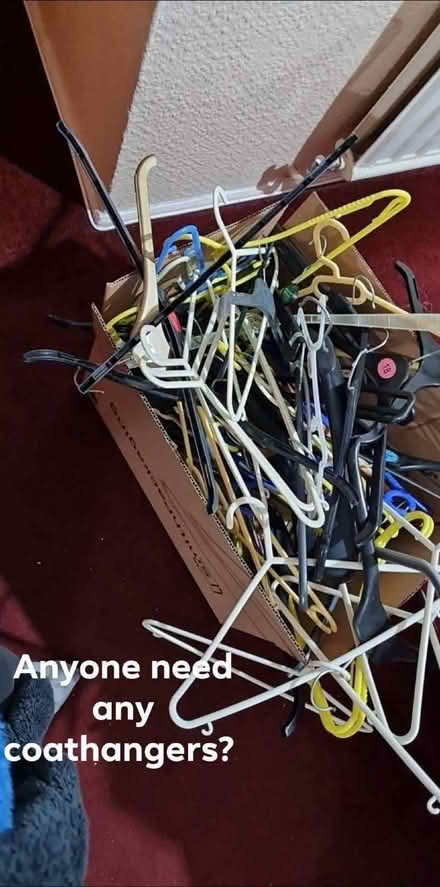 Photo of free Box of coathangers, plastic and wooden ones (Barmston NE38) #1