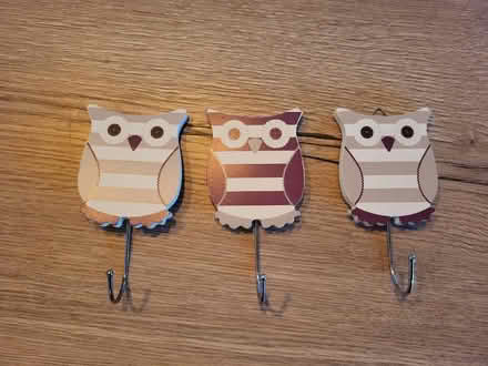Photo of free 3 x owl door or wall hangers (Everton SO41) #1