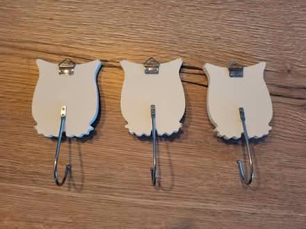 Photo of free 3 x owl door or wall hangers (Everton SO41) #2