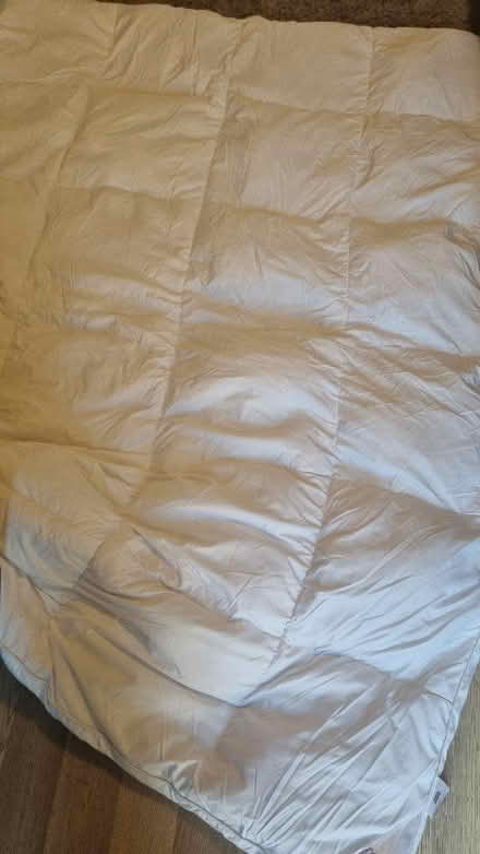 Photo of free Mattress topper (Luton LU3) #1