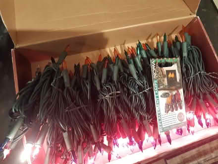 Photo of free 160 christmas lights, coloured (Crookes S10) #2