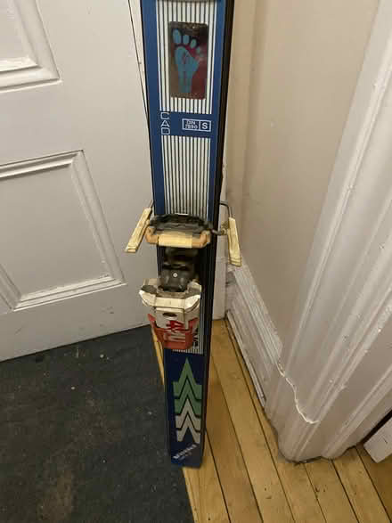 Photo of free Skis (Museum of Nature) #2