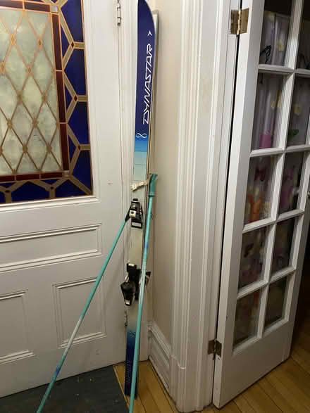 Photo of free Skis (Museum of Nature) #3