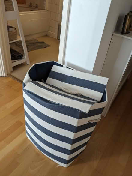 Photo of free Used Laundry Basket (Kelham Island S3) #4