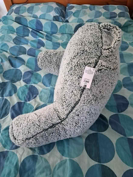 Photo of free Cuddle cushion (Old Coulsdon CR5) #3