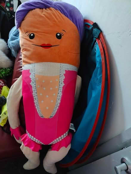 Photo of free Mrs Carrott Large Toy (Roby L36) #2
