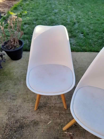 Photo of free Dining chairs (Dagenham RM8) #1