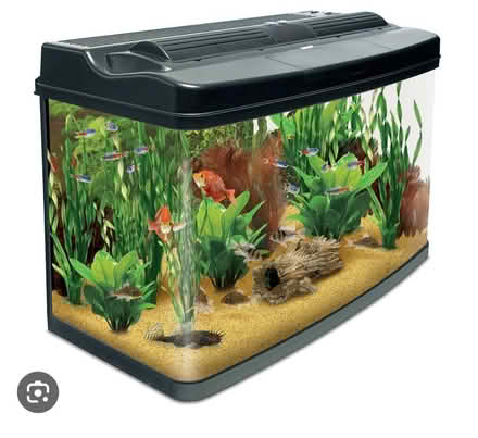 Photo of Fish tank (Oadby/wigston LE8) #1