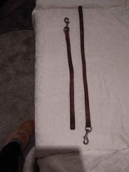 Photo of free Two traditional leather dog leads (Beauchief, S8) #1