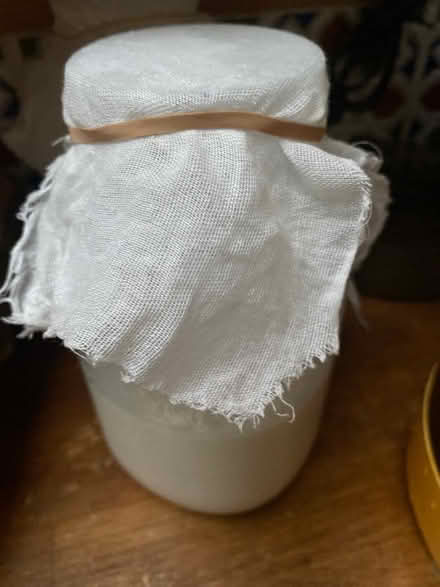 Photo of free Kefir grains (Speldhurst TN3) #2