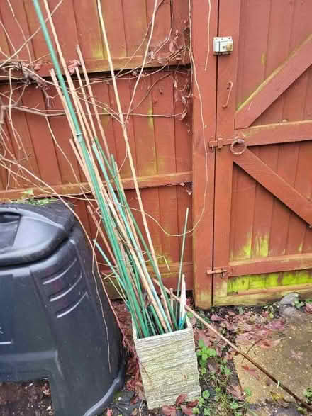 Photo of free Garden canes (Littleport CB6) #1