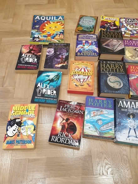 Photo of free Box of boy's books age 10-13 (EN4) #2