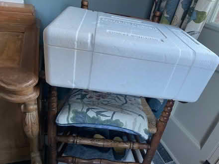 Photo of free Polystyrene Boxes (Hollingbourne ME17) #2