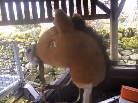 Photo of free Hobby horse (Mosedale CA11) #2