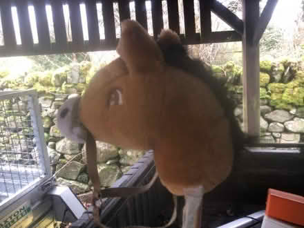 Photo of free Hobby horse (Mosedale CA11) #2