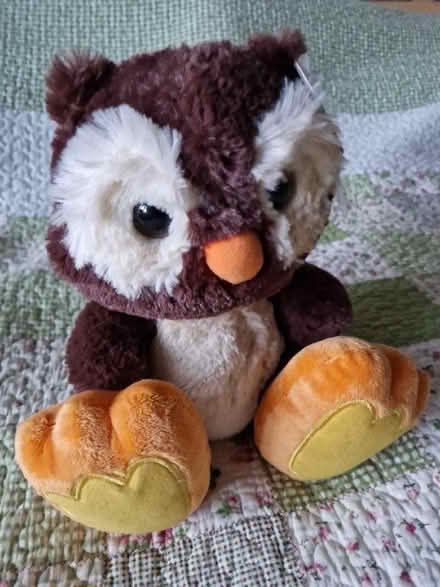 Photo of free Assorted Soft Toys (Mackworth Estate DE22) #4