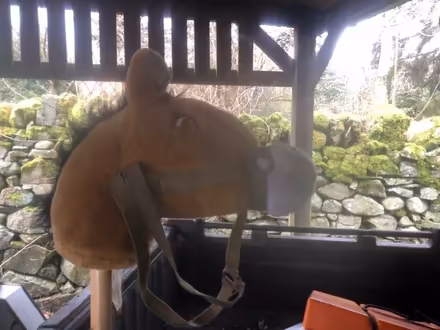 Photo of free Hobby horse (Mosedale CA11) #1