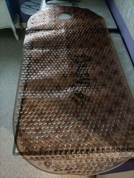 Photo of free Bathmat (Yoker G14) #1