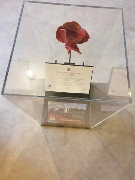 Photo of free Ceramic memorial poppy in Perspex cabinet (Winklebury RG23) #1