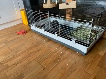 Photo of free Rabbit Cage/Hutch (Hanwell W7) #1